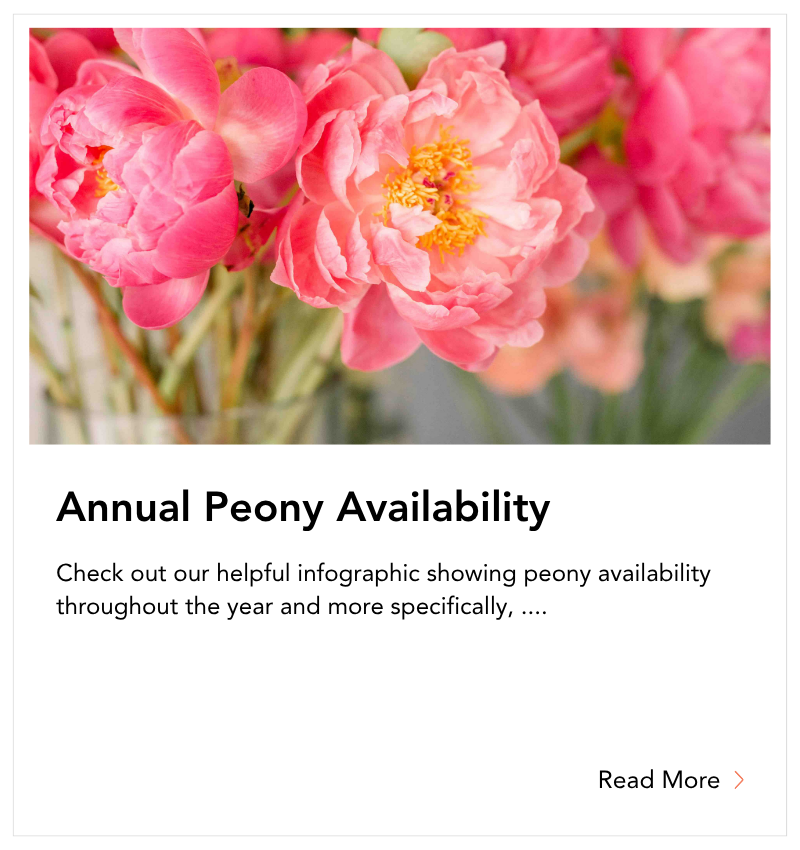 blog tile - Annual Peony Availability