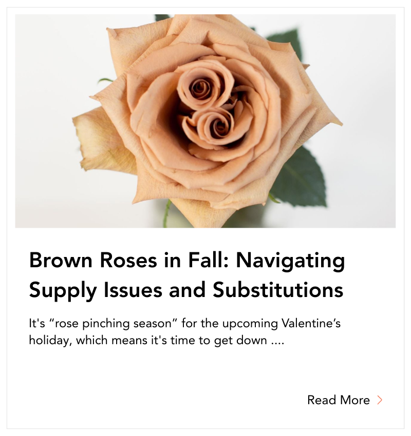 blog tile - Brown Roses in Fal-1