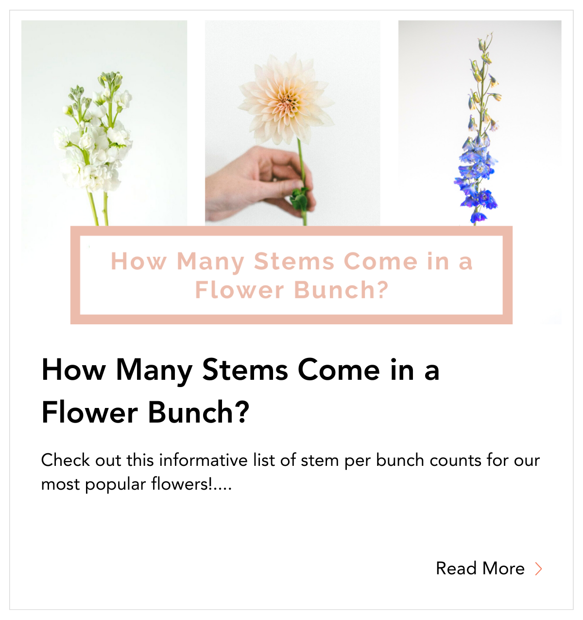 blog tile - How Many Stems Come in a Flower Bunch