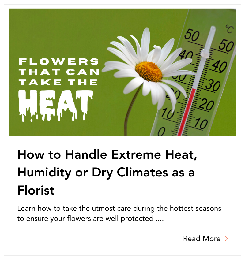 blog tile - How to Handle Extreme Heat, Humidity or Dry Climates as a Florist