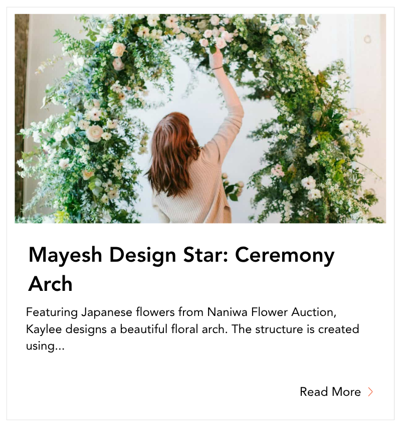 blog tile - Mayesh Design Star - Ceremony Arch