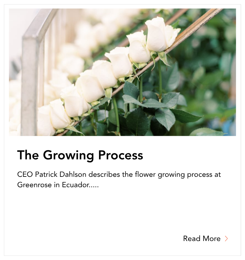 blog tile - The Growing Process