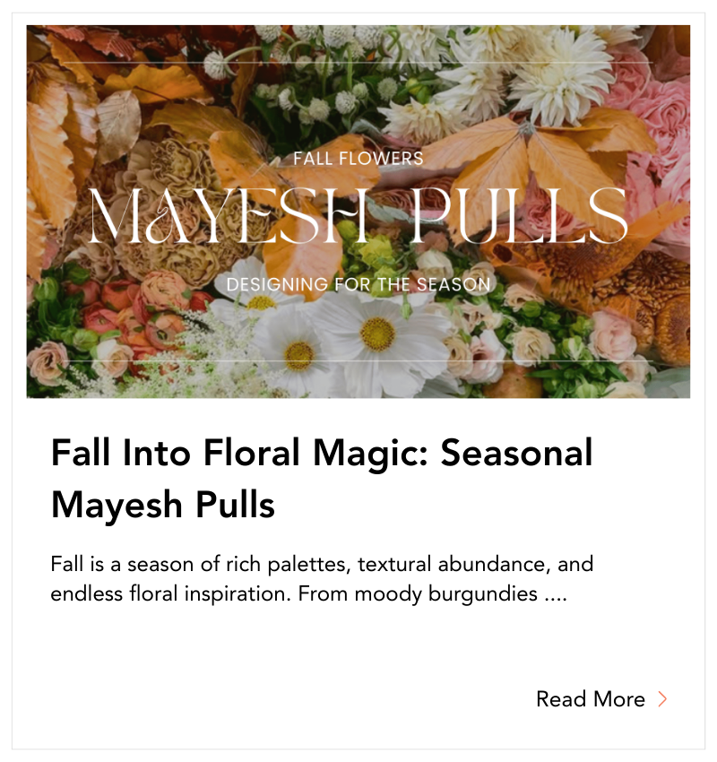blog-tile-fall-pulls