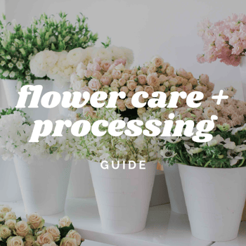 Flower Care guide