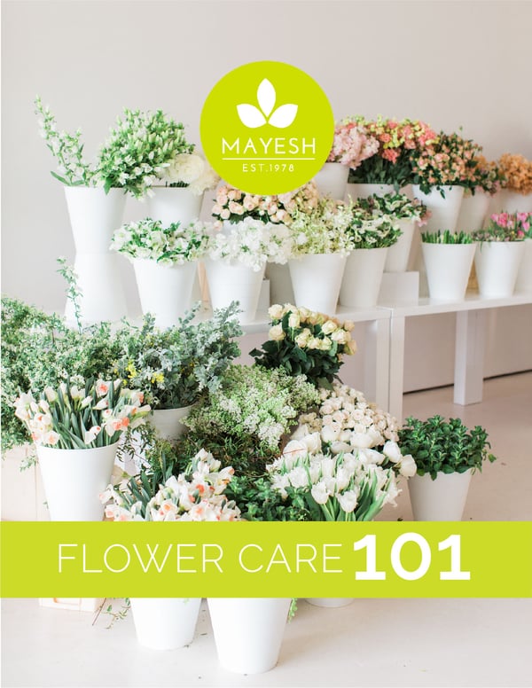 The Mayesh Flower Care Guide