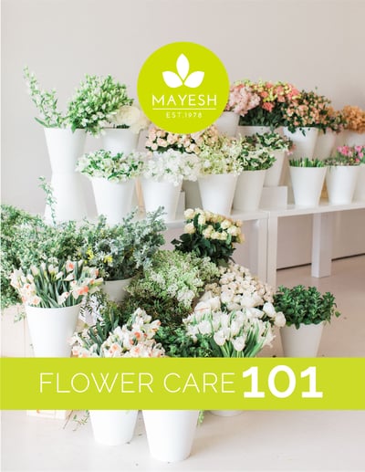 Flower-Care-Guide-Cover-01