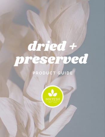 Dried-guide-Landing-page