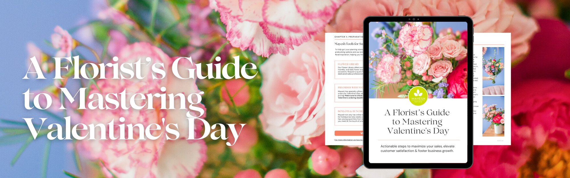 2026-vday-guide-landing-page