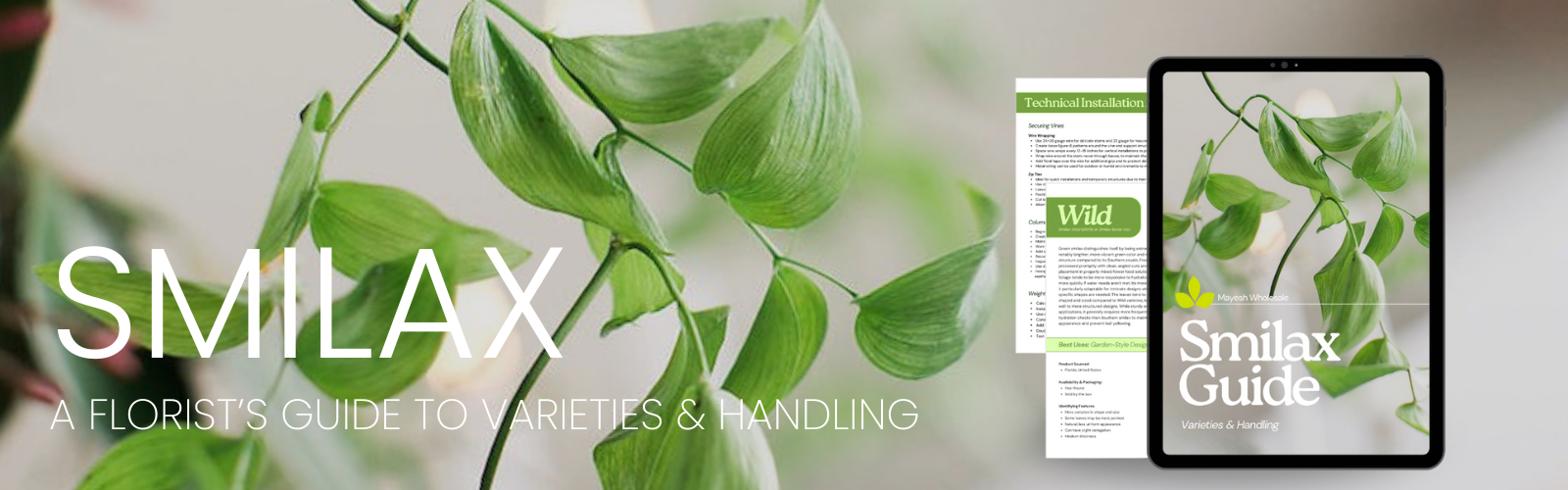 smilax-guide-landing-page