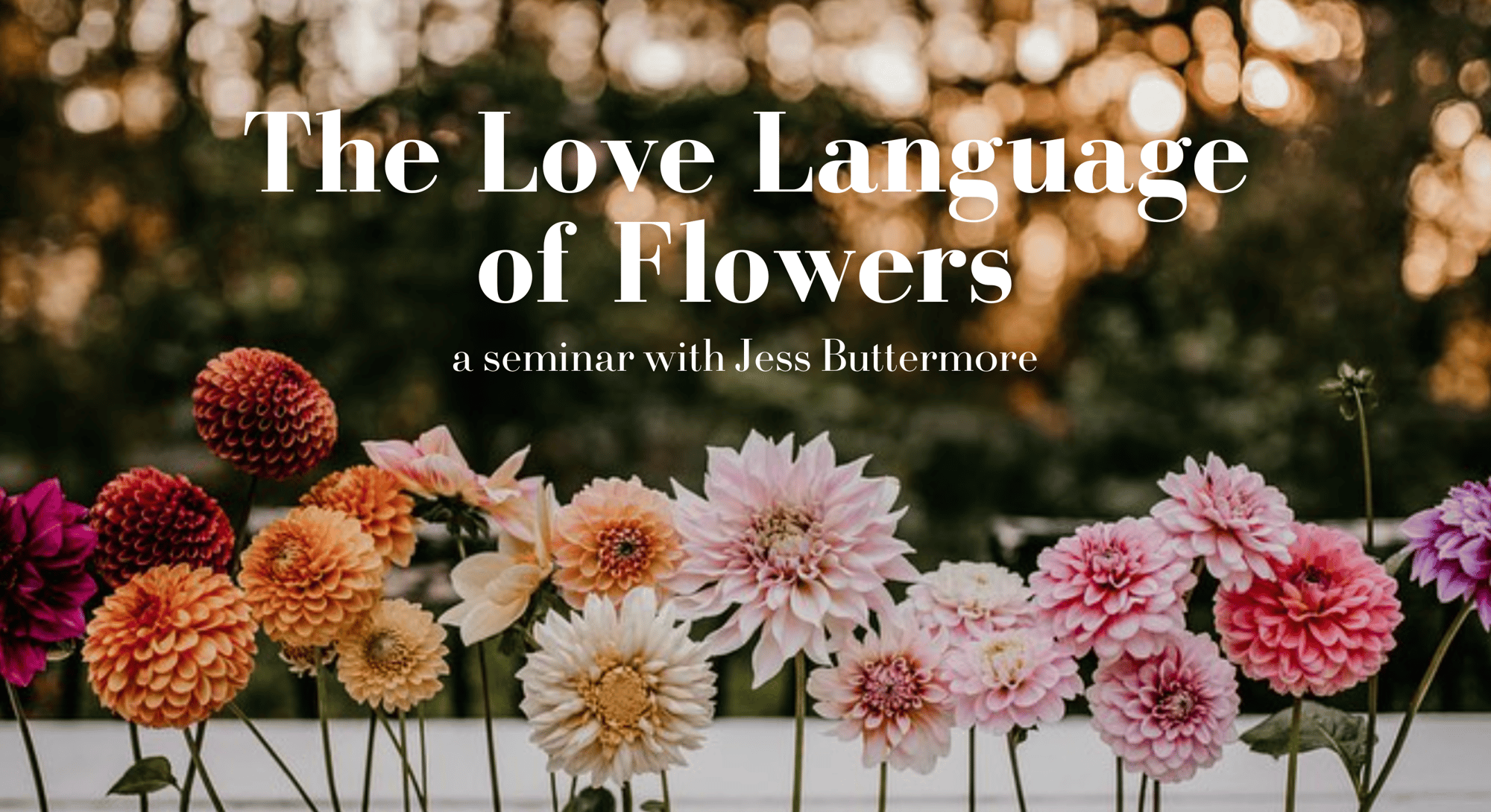 the-love language-of-flowers-landing-page-email-header