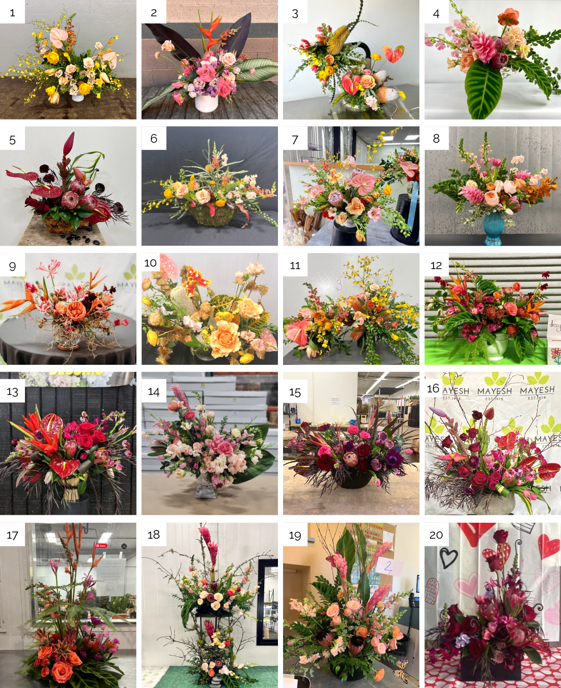 battle of the blooms winners-1