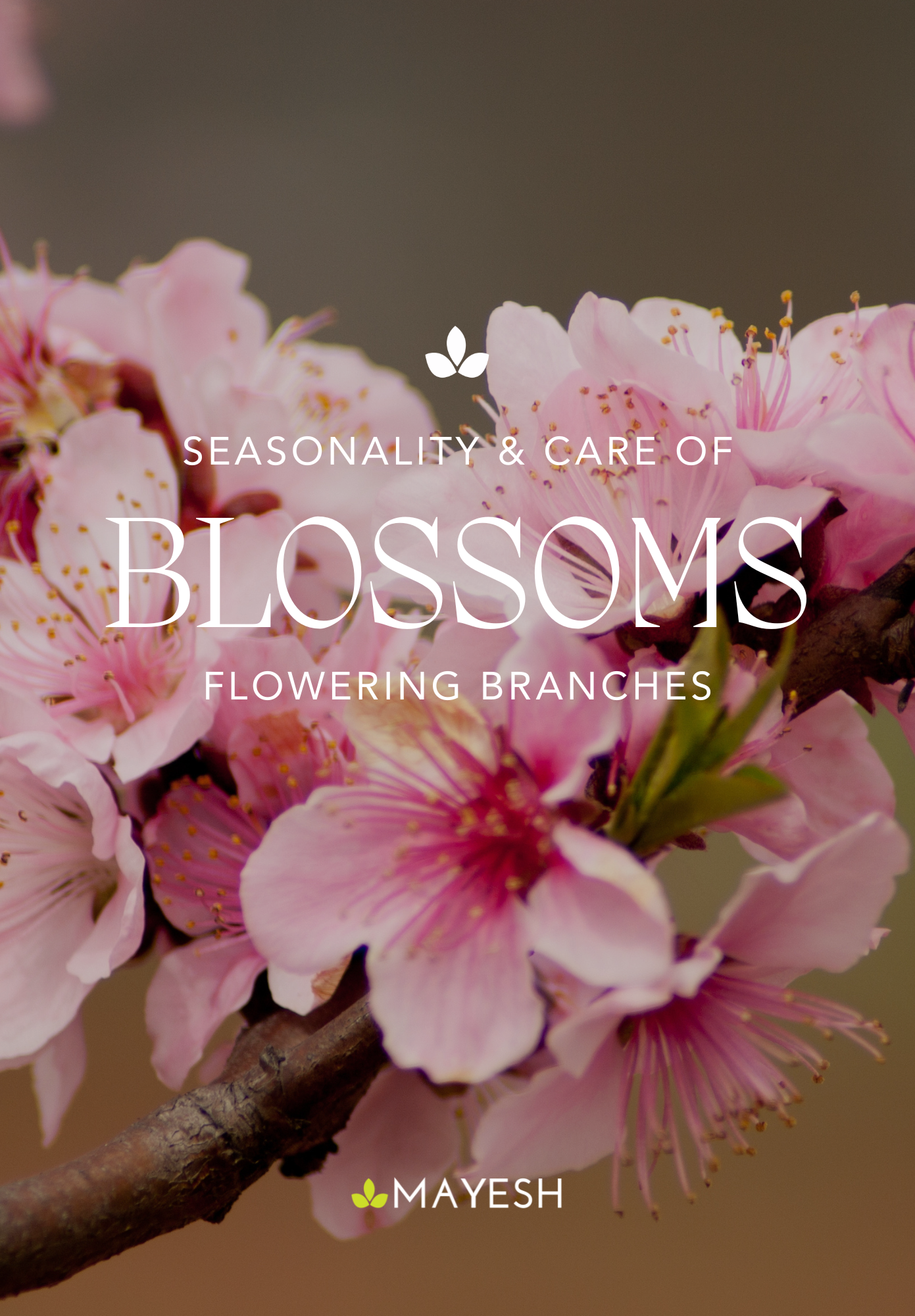 Cover Page - Guide Blossoming Branches