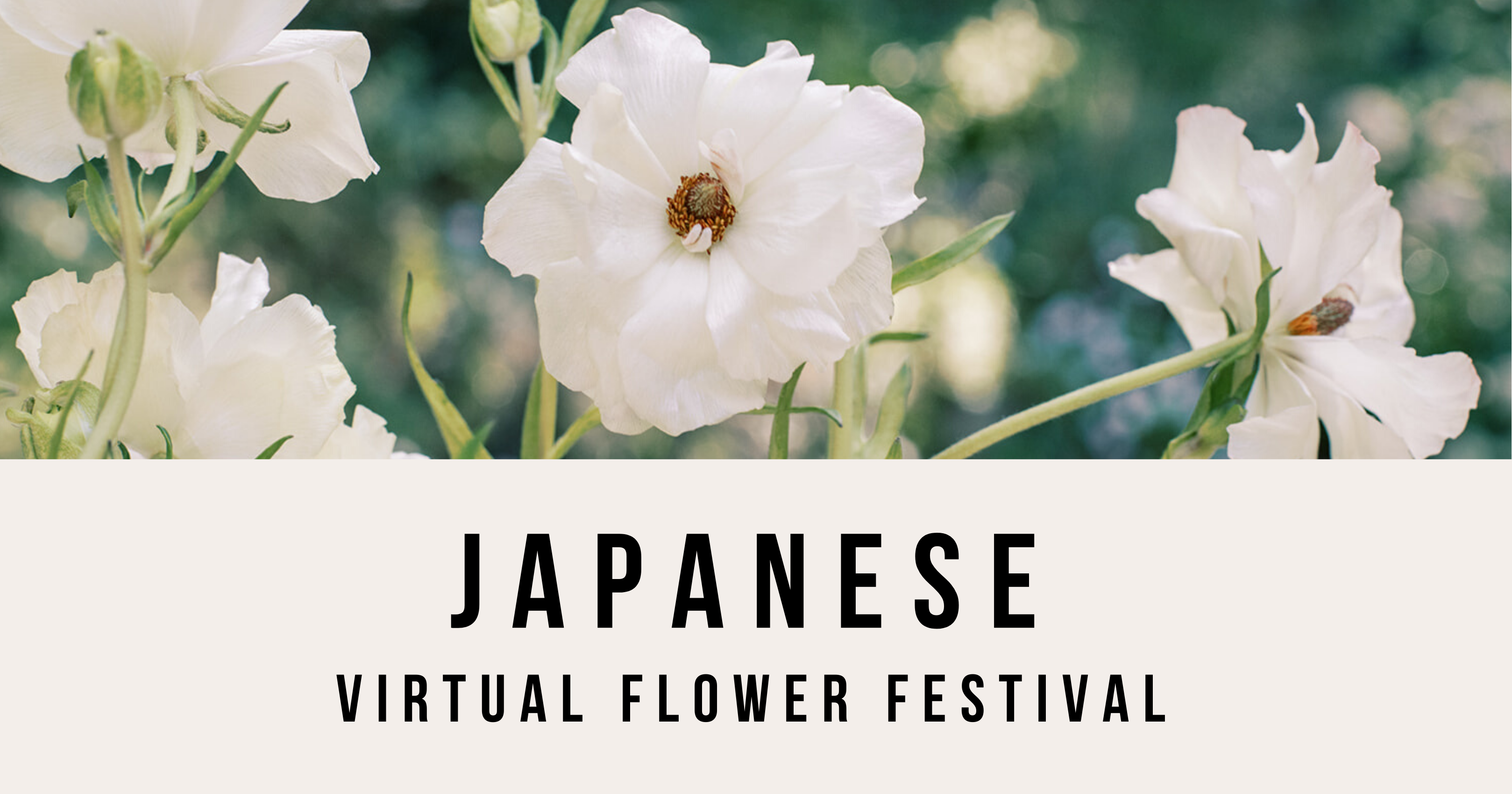 Japan Virtual Event Showcase copy