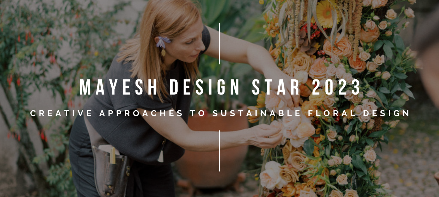 Design Star 2023 Sustainability Application