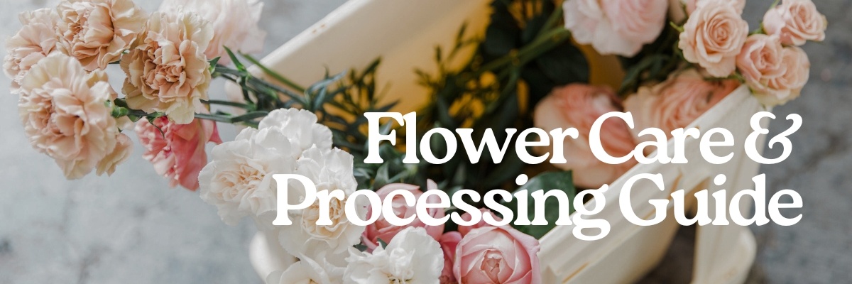 flower-care-processing-guide-landing-page