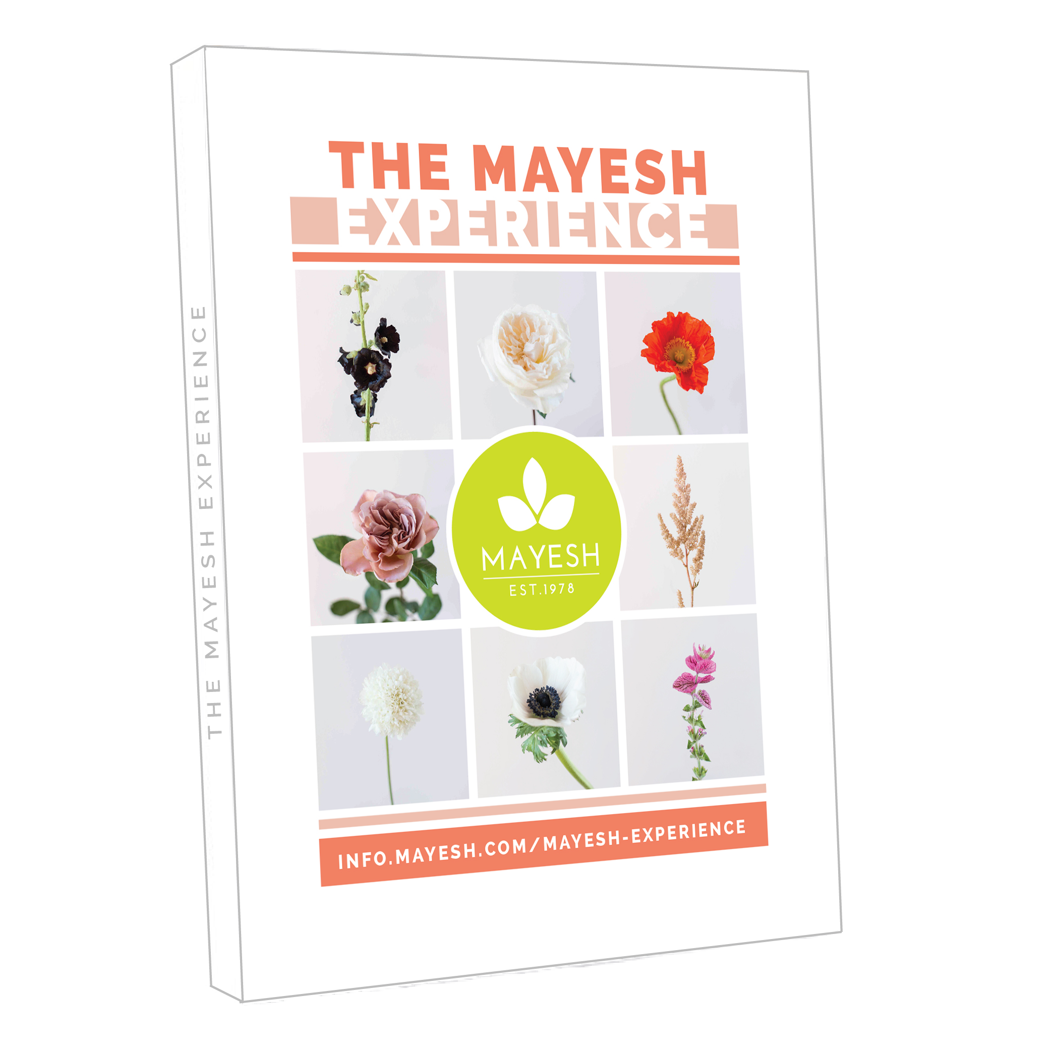 The Mayesh Experience