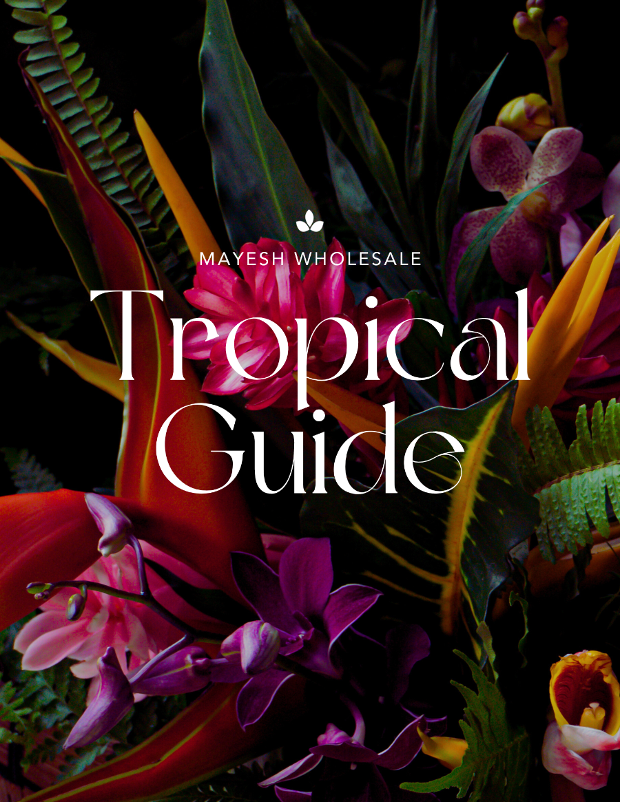 Tropical  Educational Guide - Cover Page-1